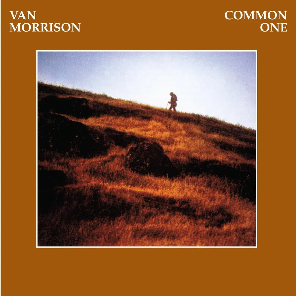 Common One by Van Morrison cover