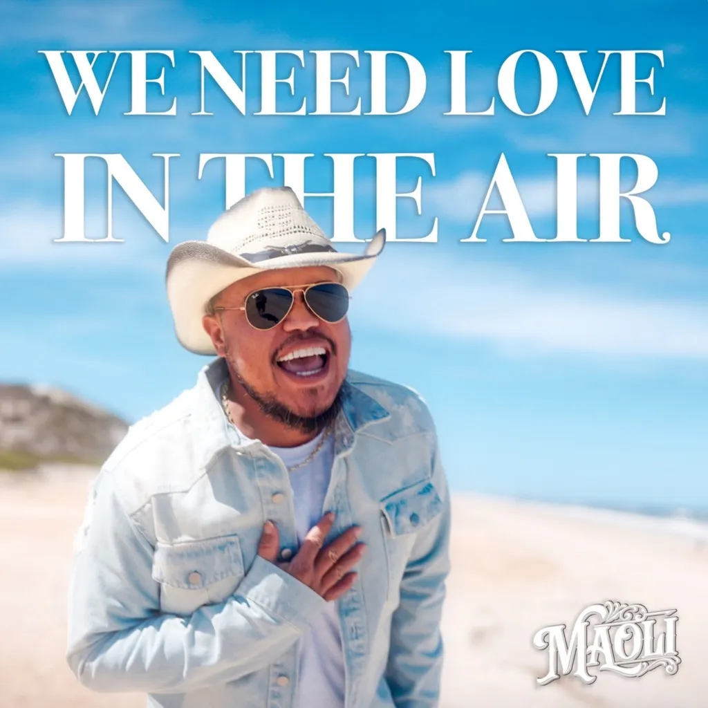 We Need Love In The Air by Maoli feat. Fiji cover