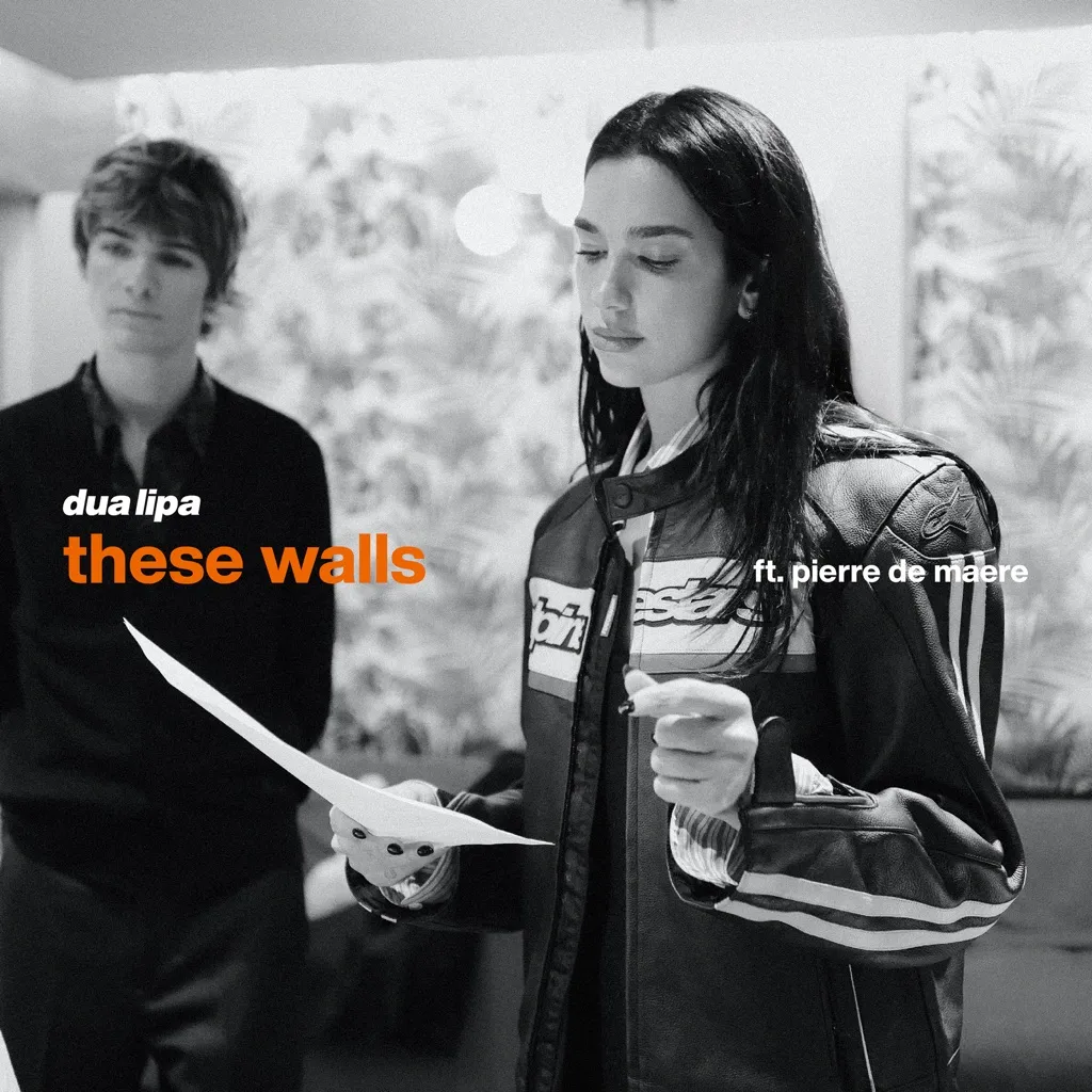 These Walls by Dua Lipa feat. Pierre de Maere cover