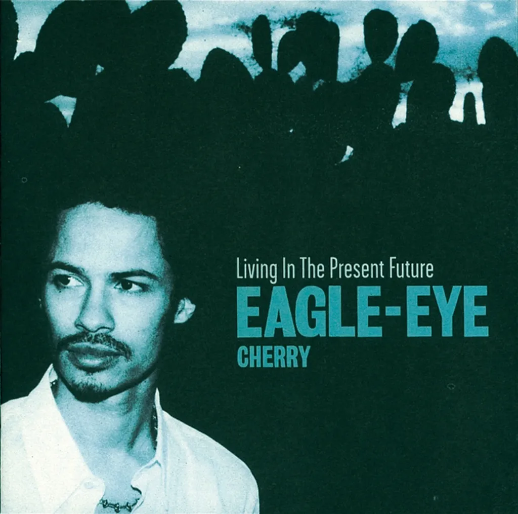 ARE YOU STILL HAVING FUN? by Eagle Eye Cherry cover