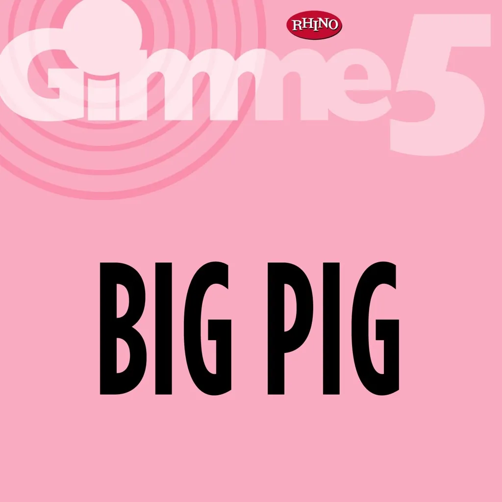 Big Hotel by Big Pig cover