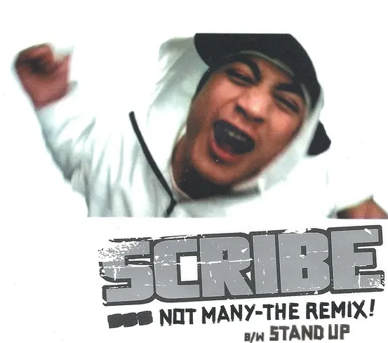 NOT MANY - THE REMIX / STAND UP by Scribe cover