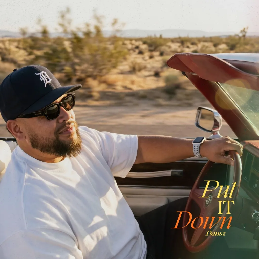 Put It Down by Dansz cover