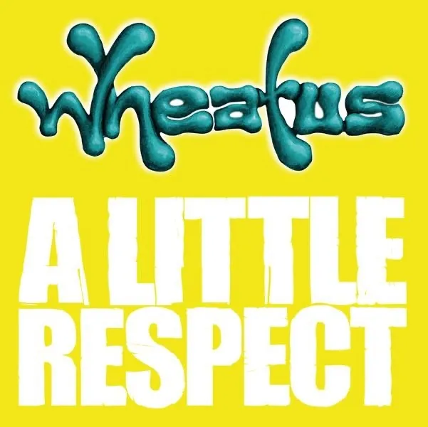 A LITTLE RESPECT by Wheatus cover