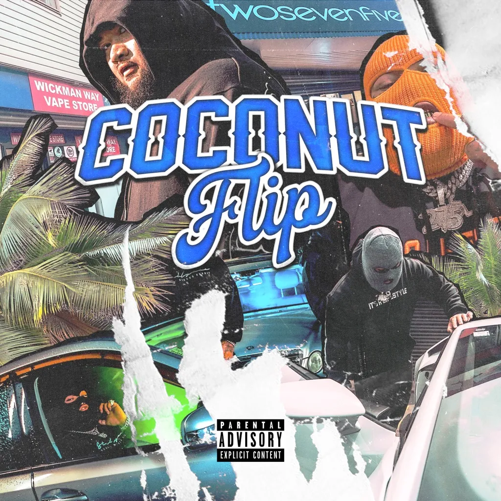 Coconut Flip by Stallyano cover