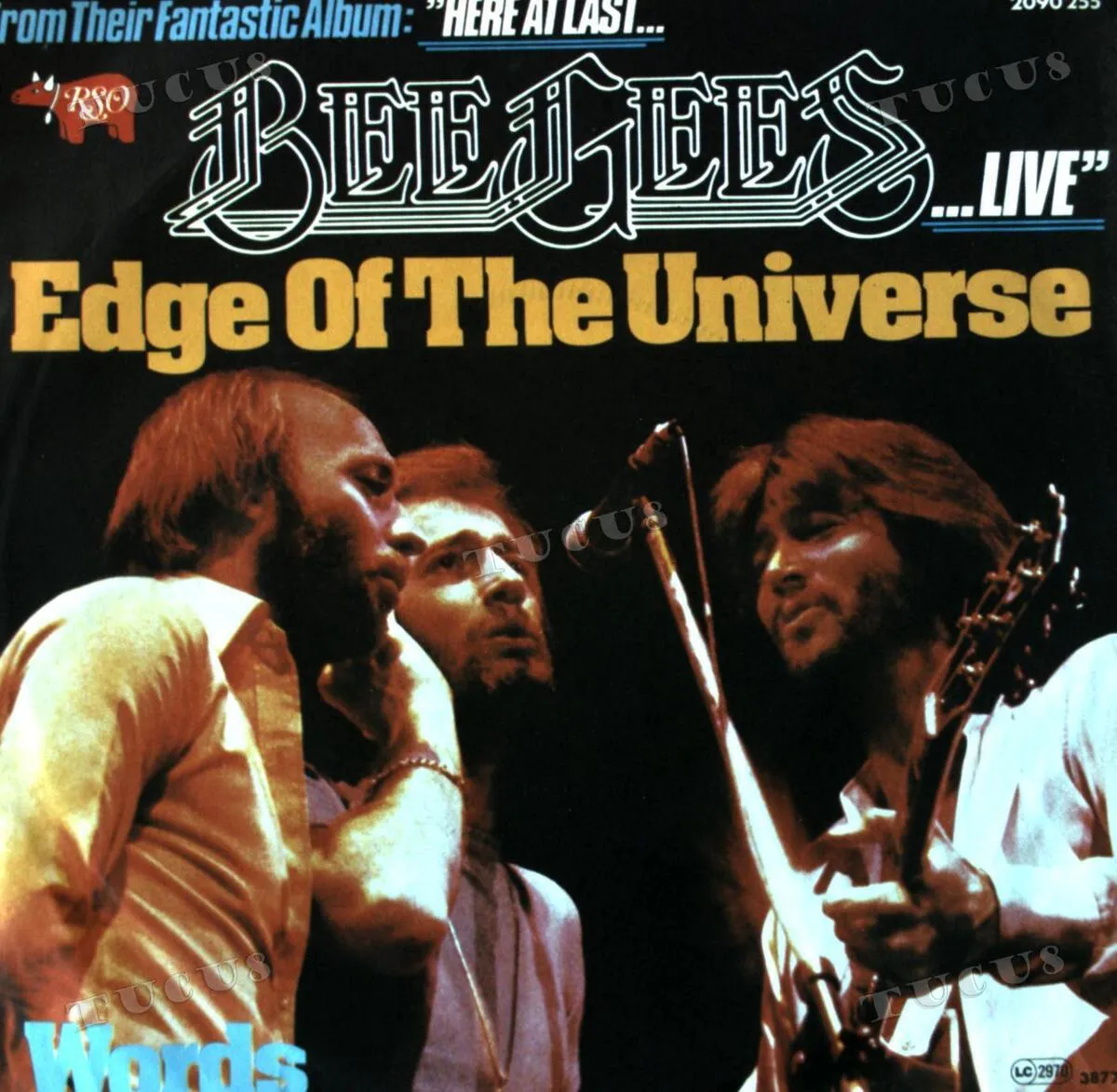 Edge Of The Universe by Bee Gees cover