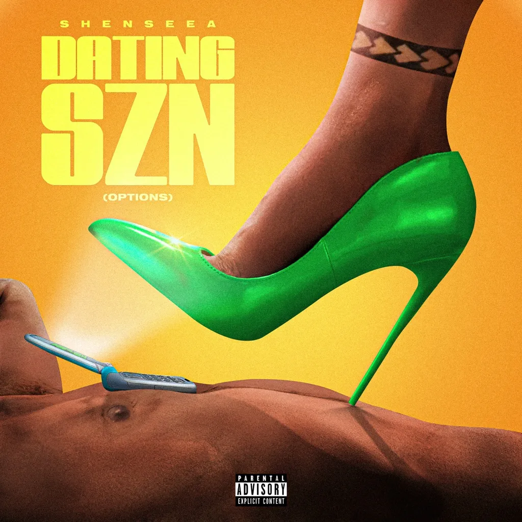 Dating Szn by Shenseea cover