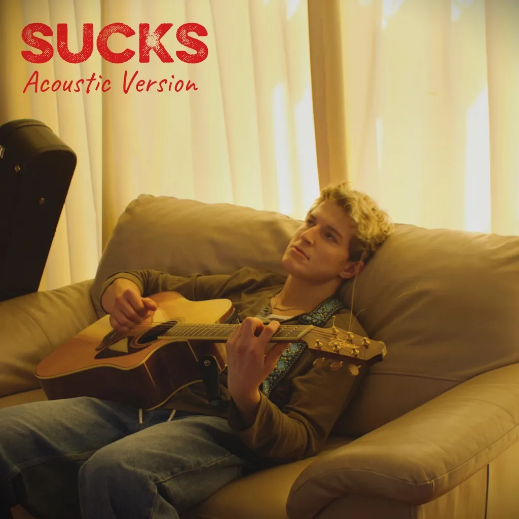 Sucks (Acoustic Version) by Flynn Adamson cover