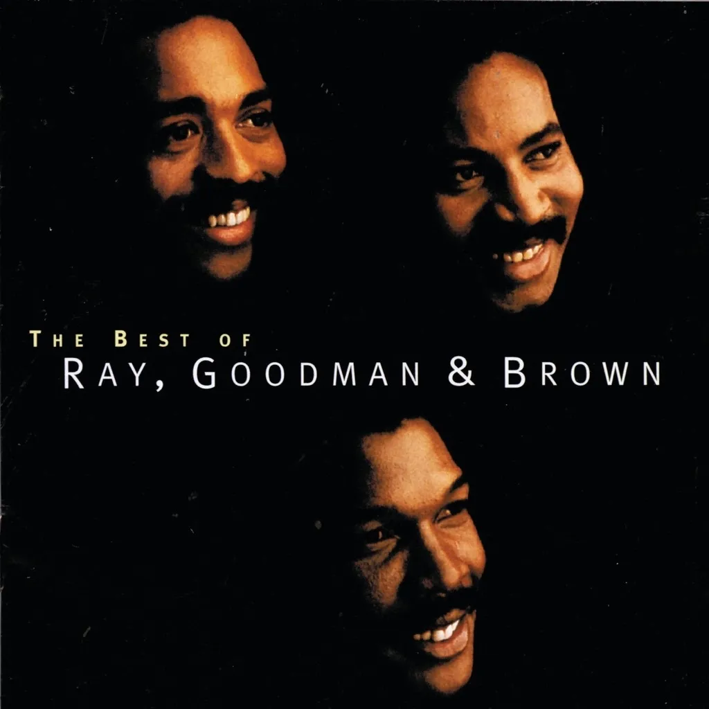 Special Lady by Ray Goodman & Brown cover