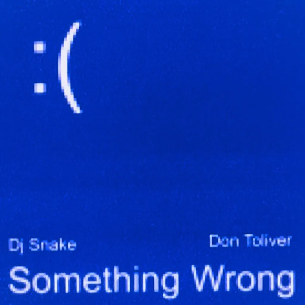 Something Wrong by DJ Snake And Don Toliver cover
