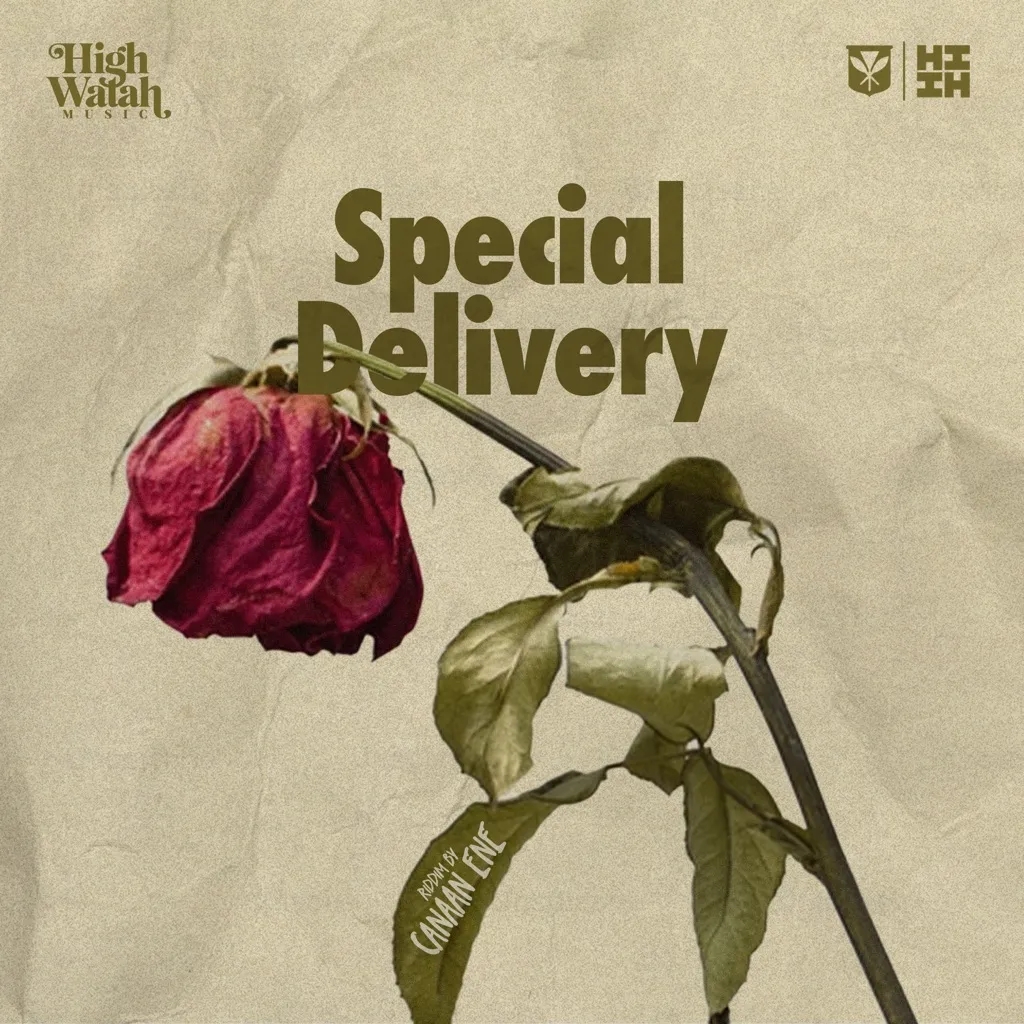 Special Delivery by High Watah And Canaan Ene cover