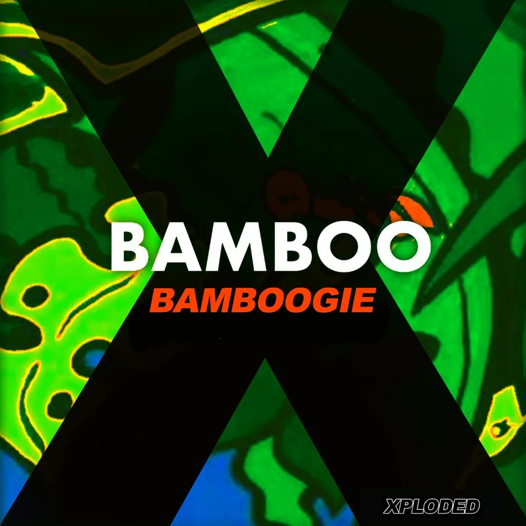 Bamboogie by Bamboo cover