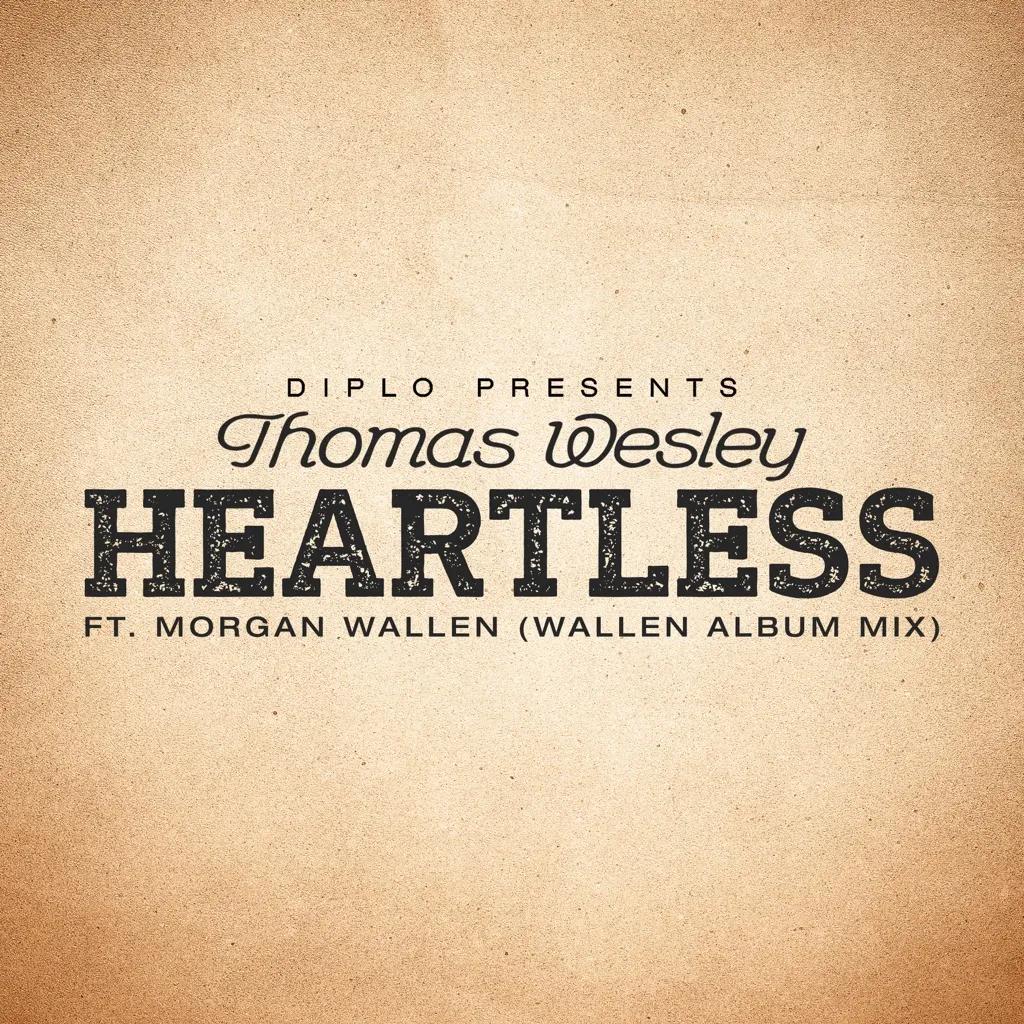 Heartless by Diplo And Julia Michaels feat. Morgan Wallen cover