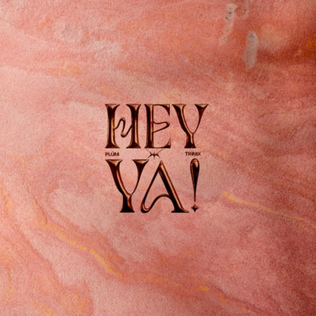 Hey Ya! by PLÜM And Trinix cover