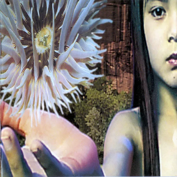 Lifeforms by Picture Sound of London cover