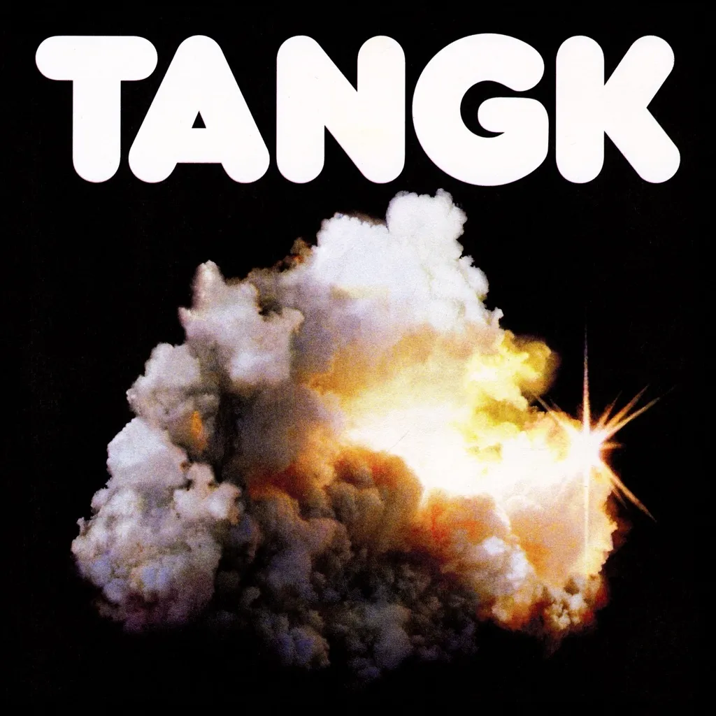 TANGK by IDLES cover