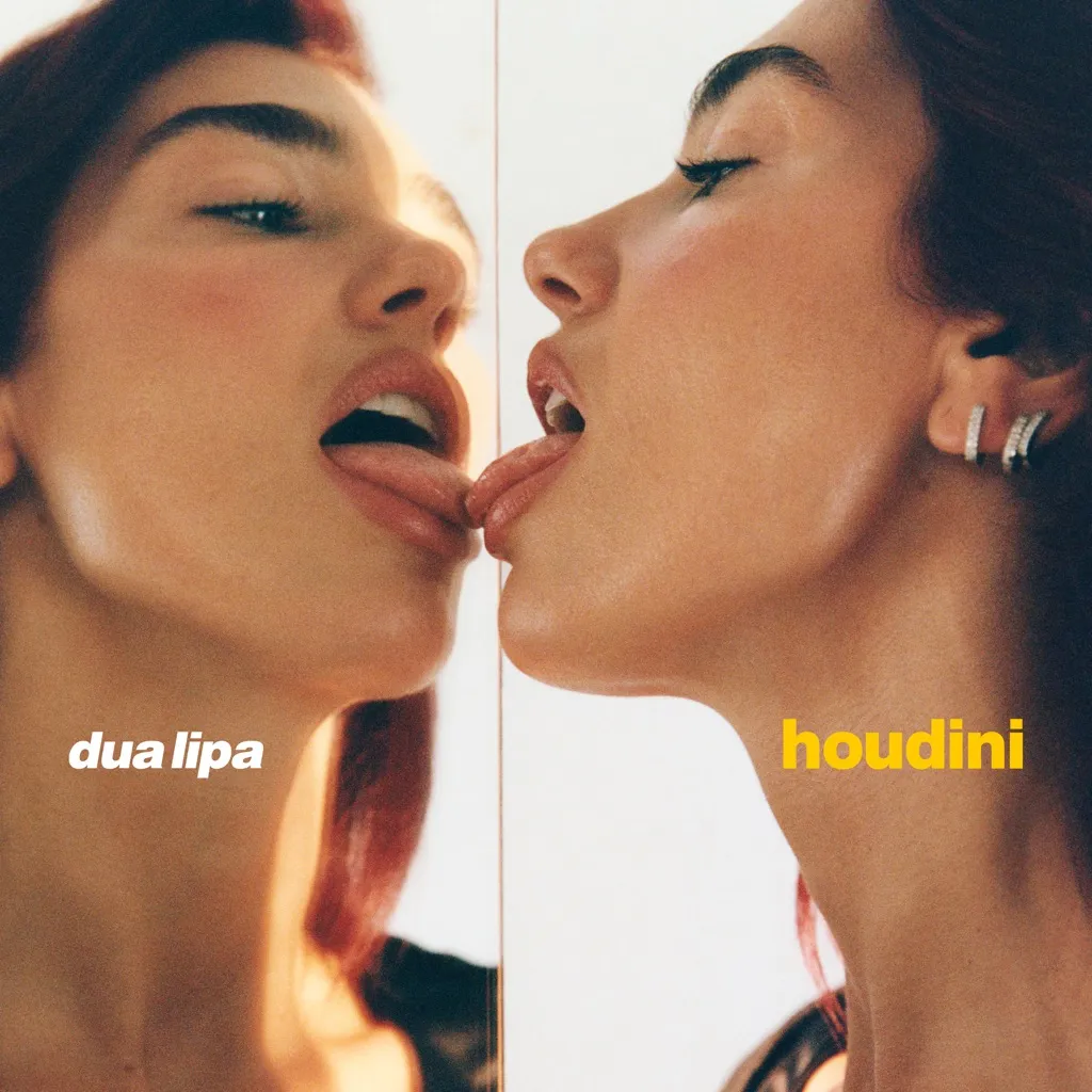 Houdini by Dua Lipa cover