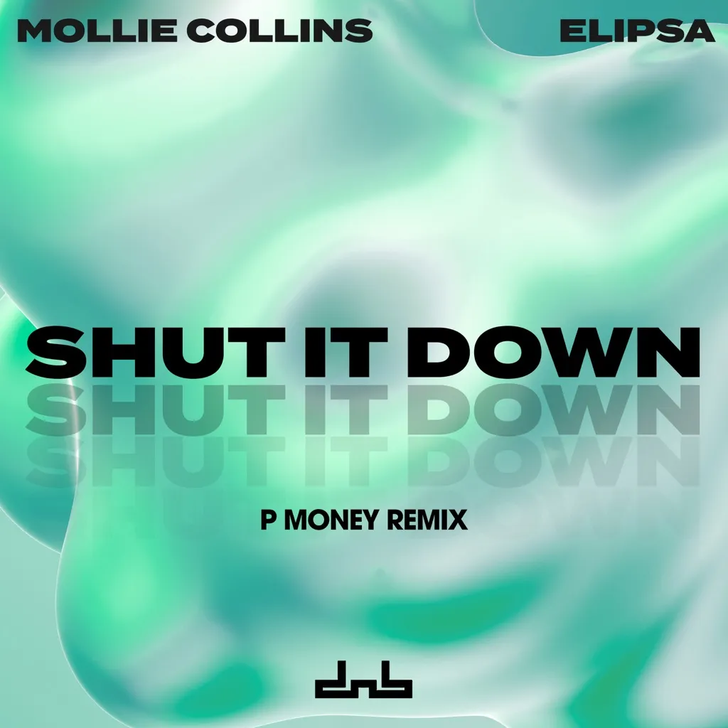 Shut It Down (P Money Remix) by Mollie Collins And Elipsa cover