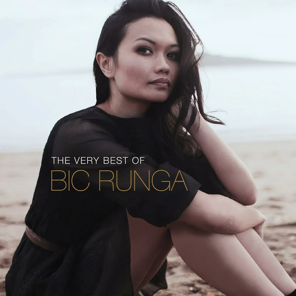 The Very Best Of by Bic Runga cover