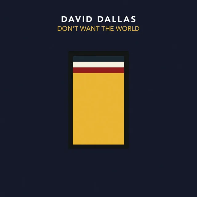 Don't Want The World by David Dallas cover