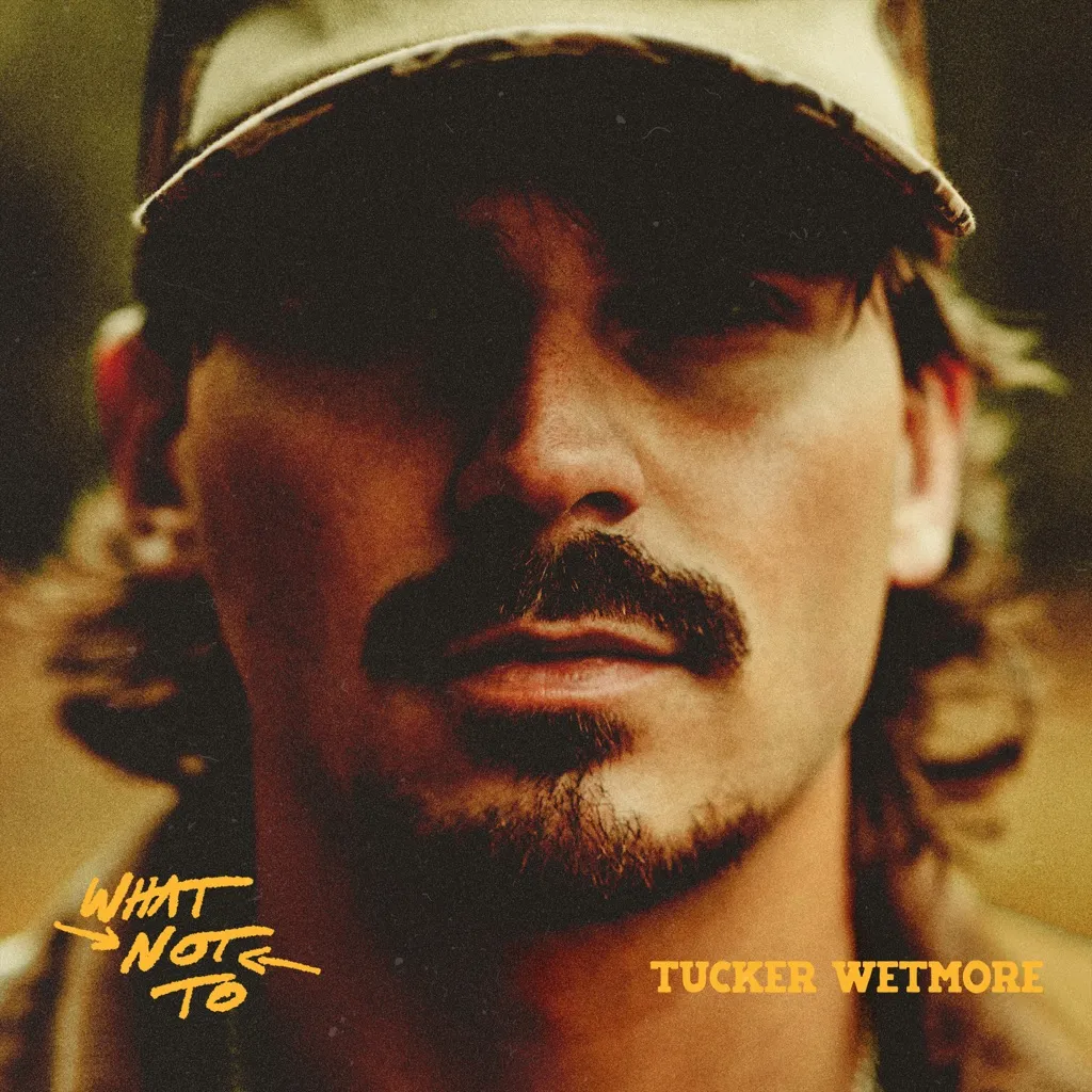 Brunette by Tucker Wetmore cover