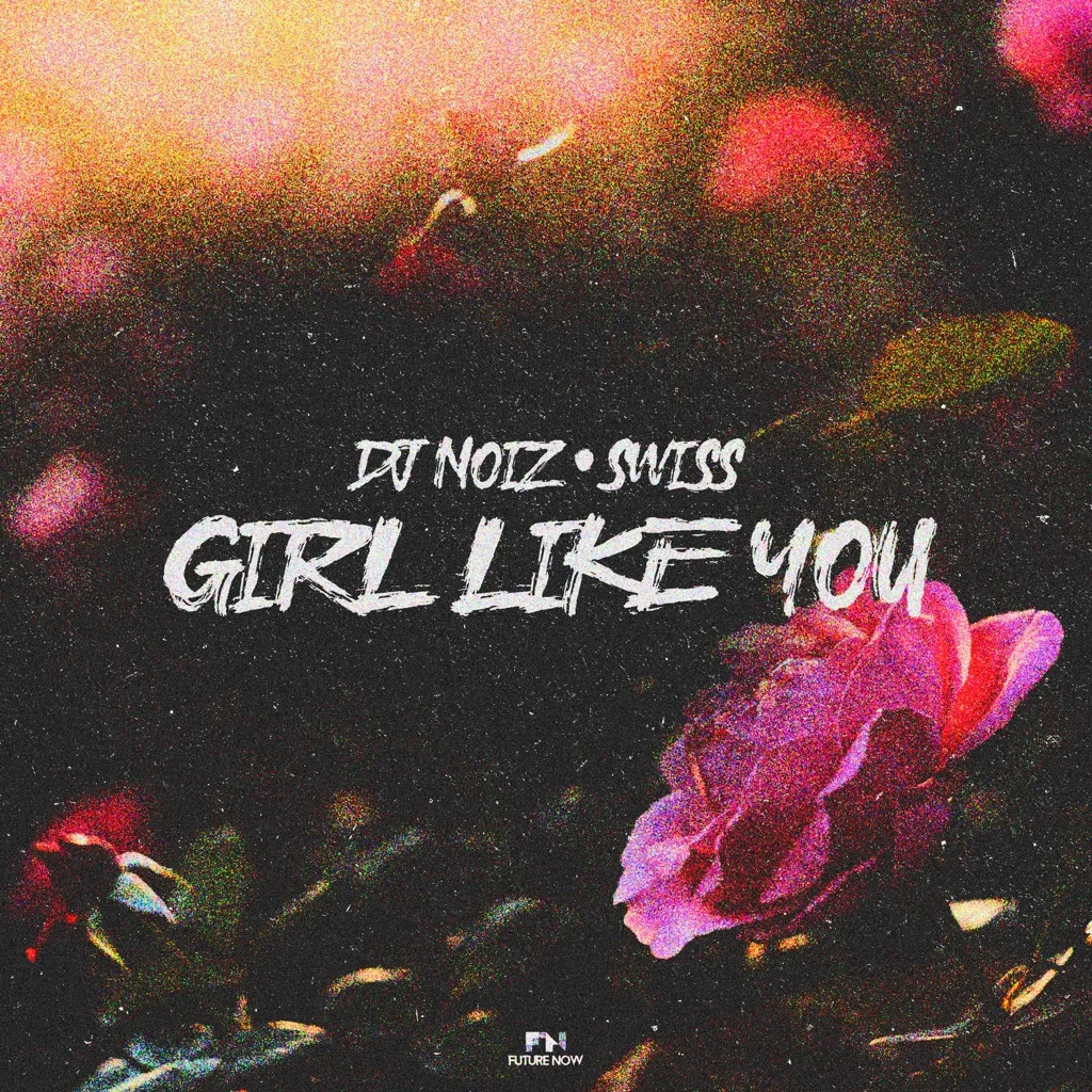 Girl Like You by DJ Noiz And Swiss cover