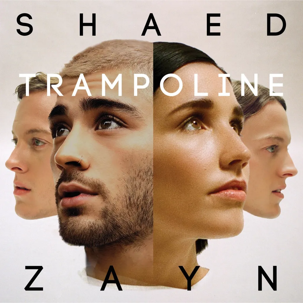 Trampoline by SHAED And ZAYN cover