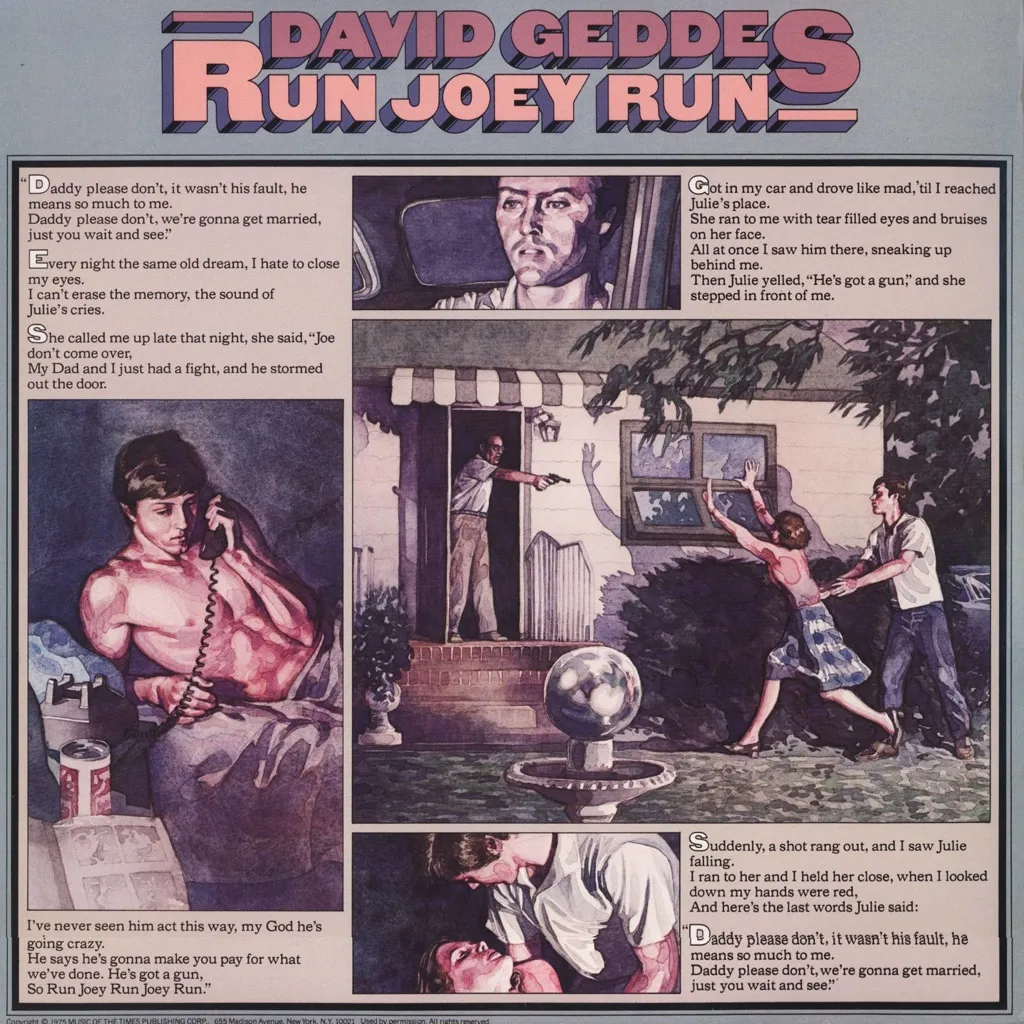 Run Joey Run by David Geddes cover