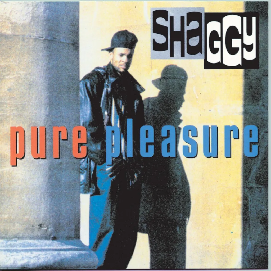 Pure Pleasure by Shaggy cover