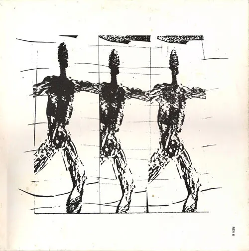Perfect Features Exposed by The Features cover
