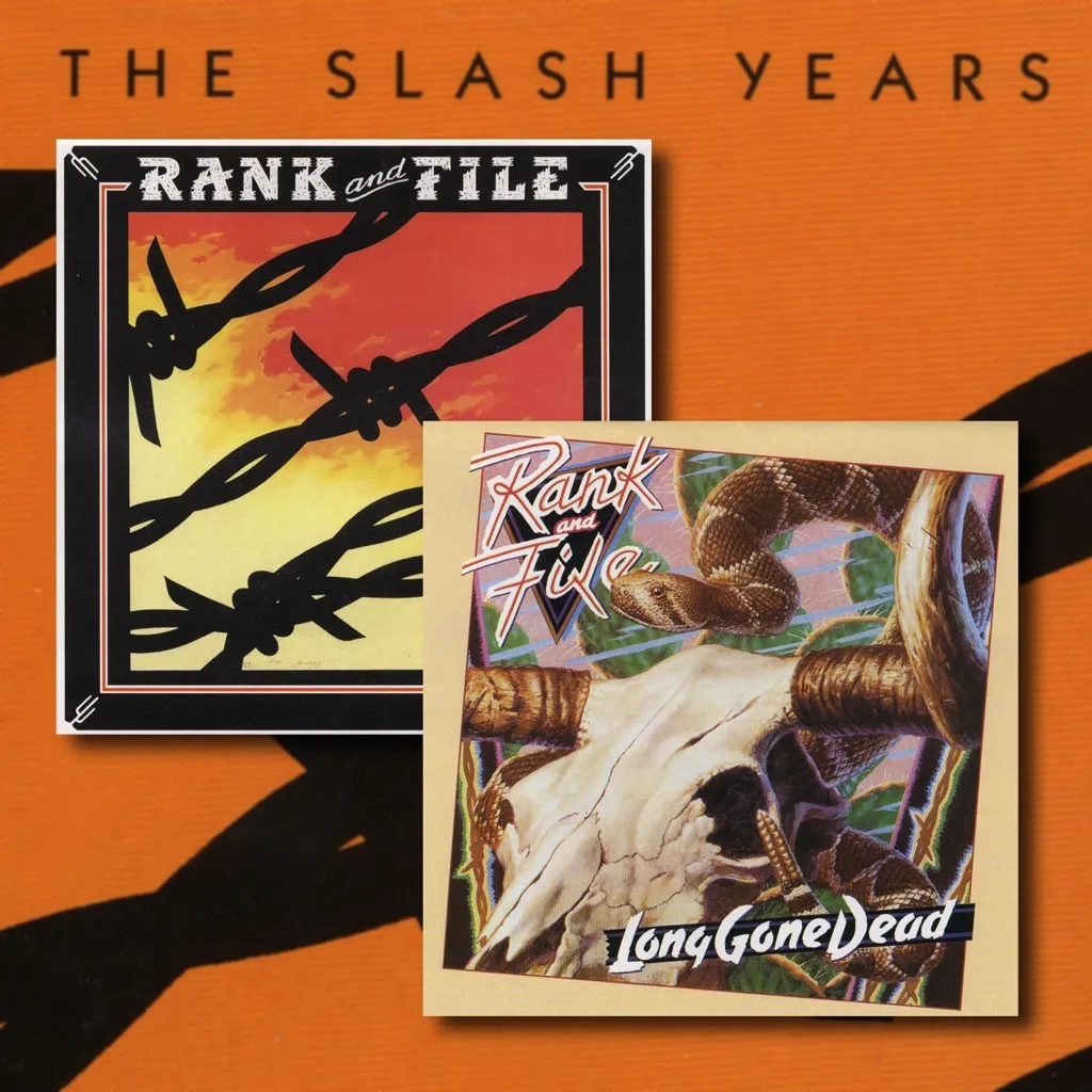 Long Gone Dead by Rank and File cover