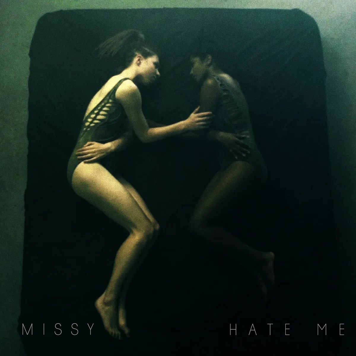 Hate Me by Missy cover