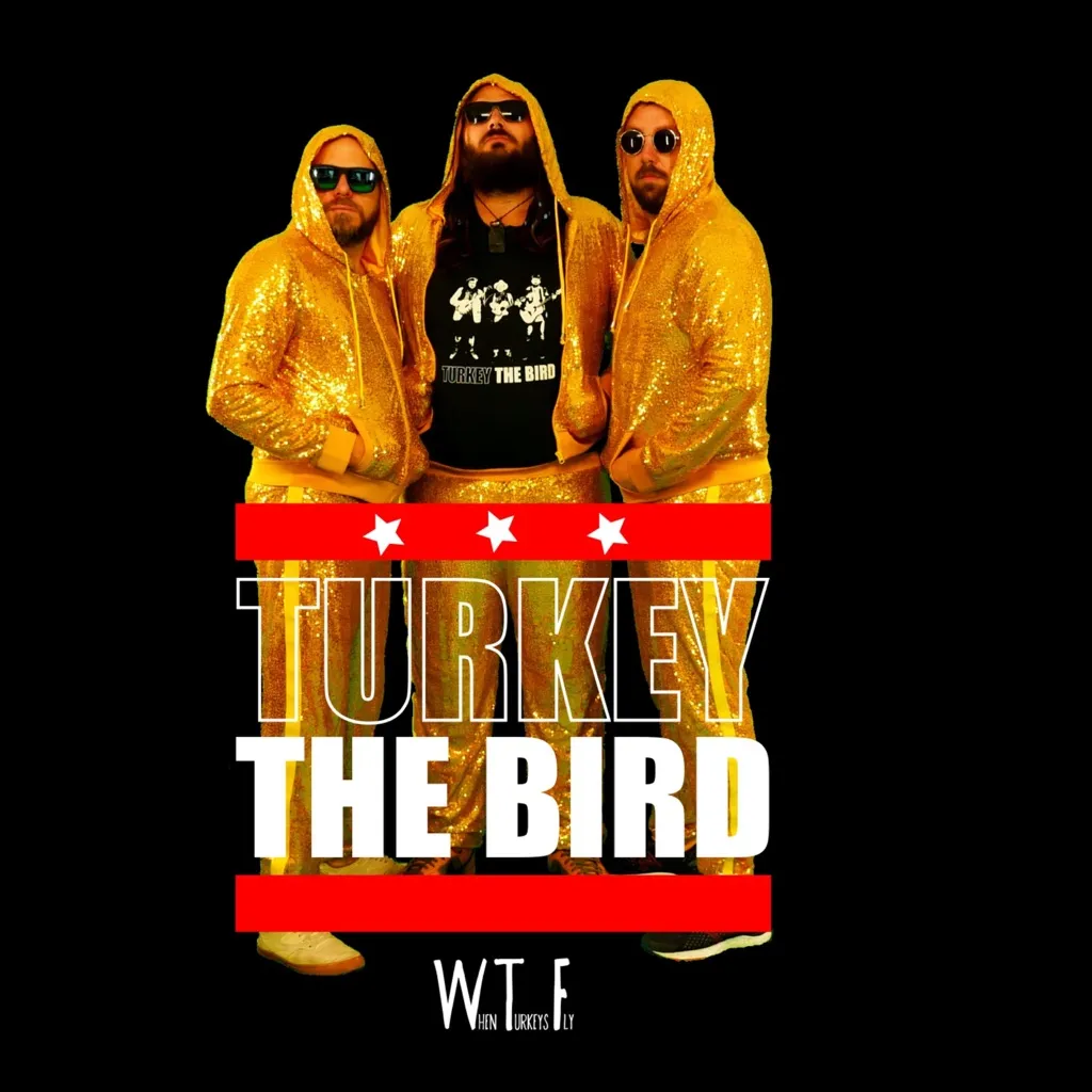 When Turkeys Fly by Turkey The Bird cover