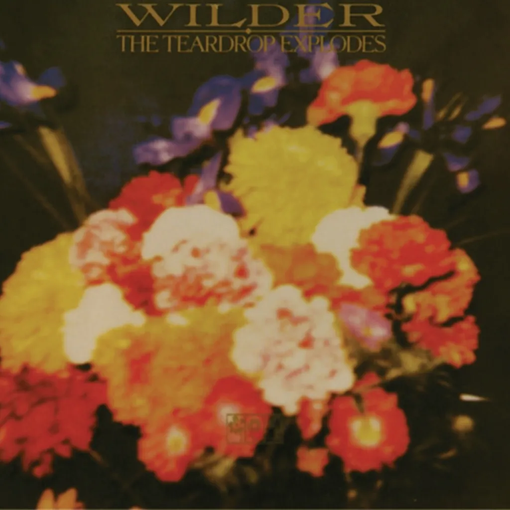 Wilder by The Teardrop Explodes cover