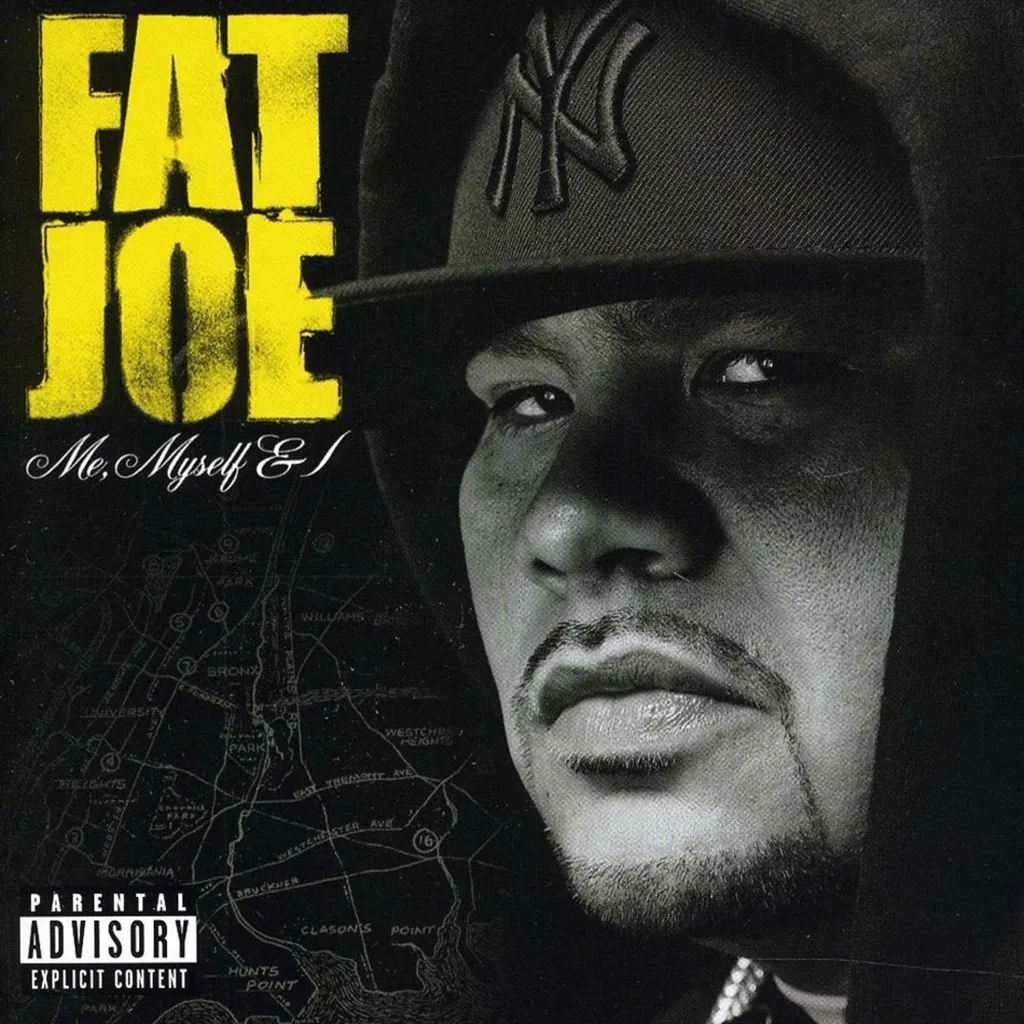 Make It Rain by Fat Joe feat. Lil Wayne cover