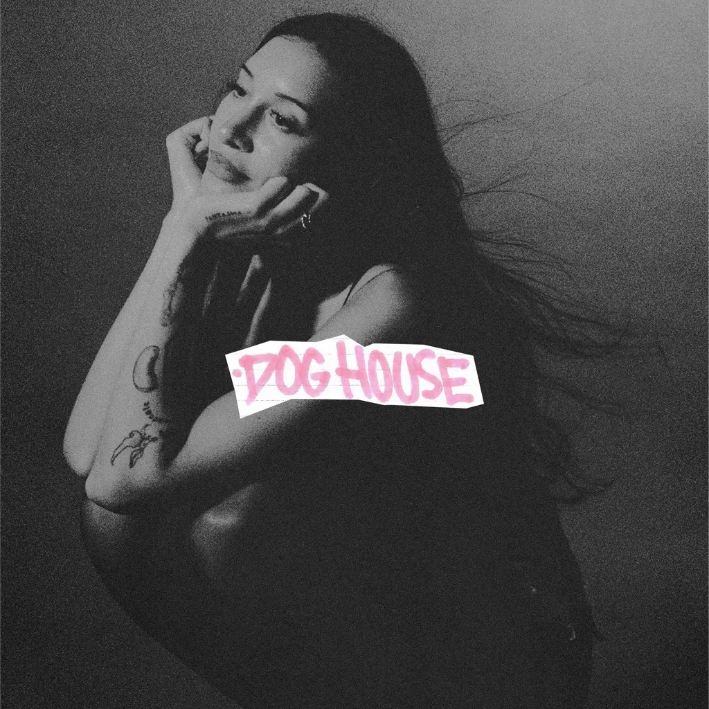 Dog House by Drake feat. Julia Wolf And Yeat cover