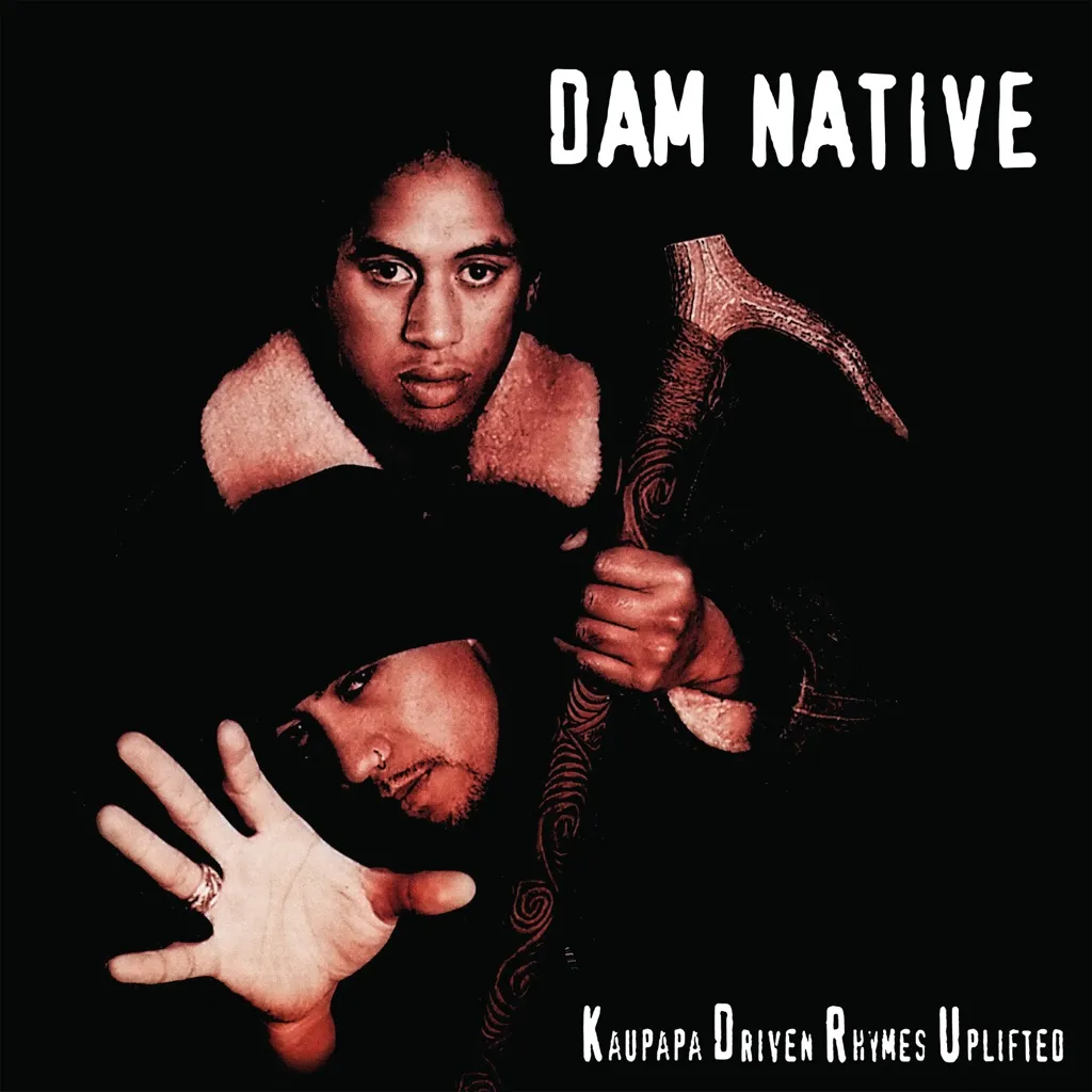 The Son by Dam Native cover