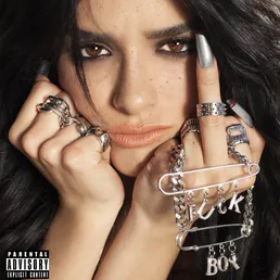 F**KBOY by Dixie cover