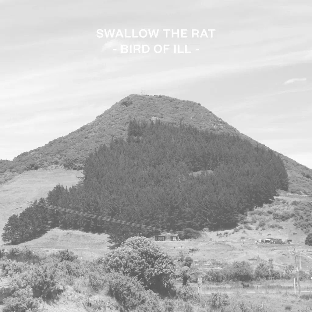 Bird Of Ill by Swallow The Rat cover