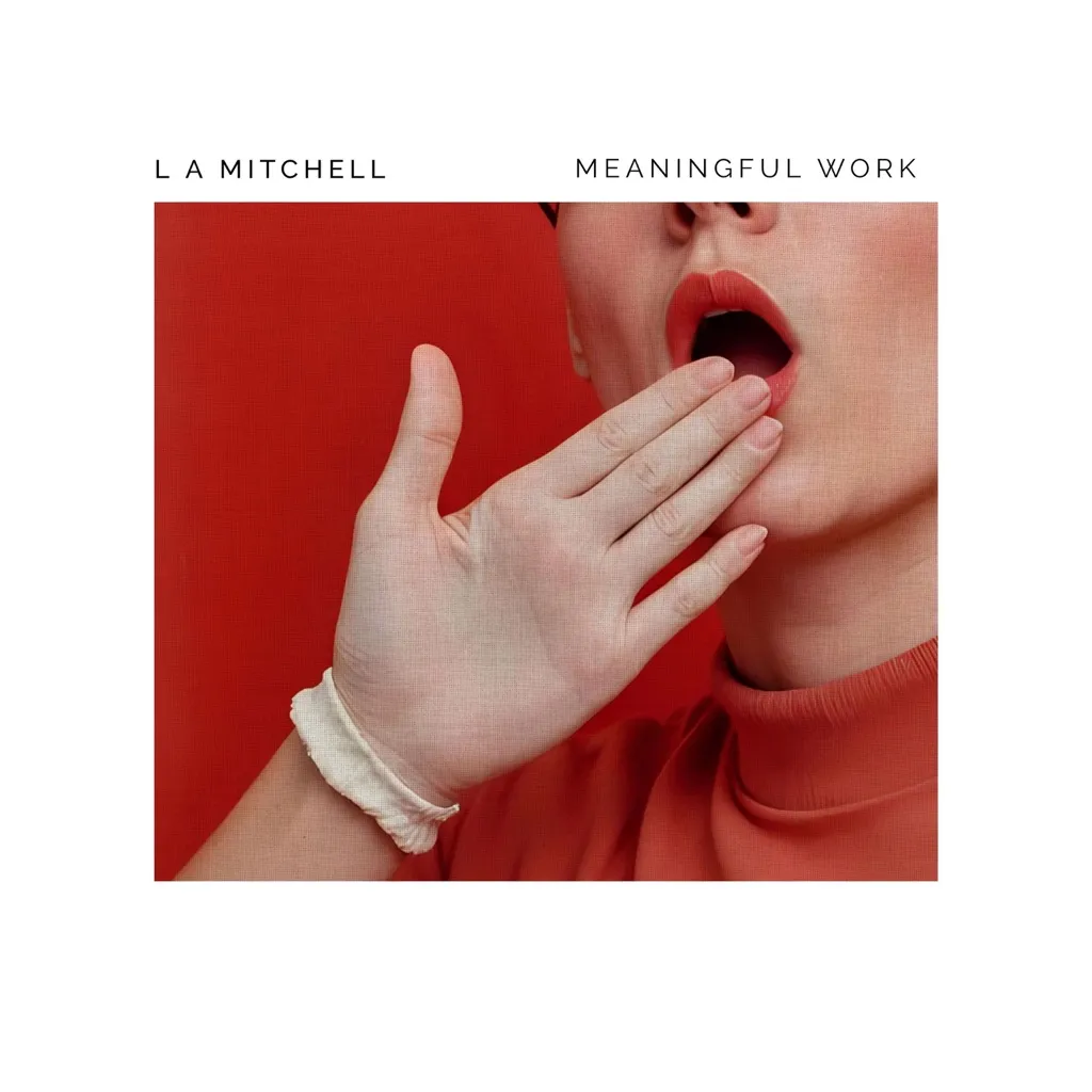 Meaningful Work by LA Mitchell cover