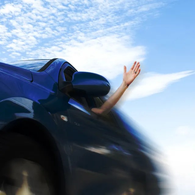 lizard of leisure by celltowers cover