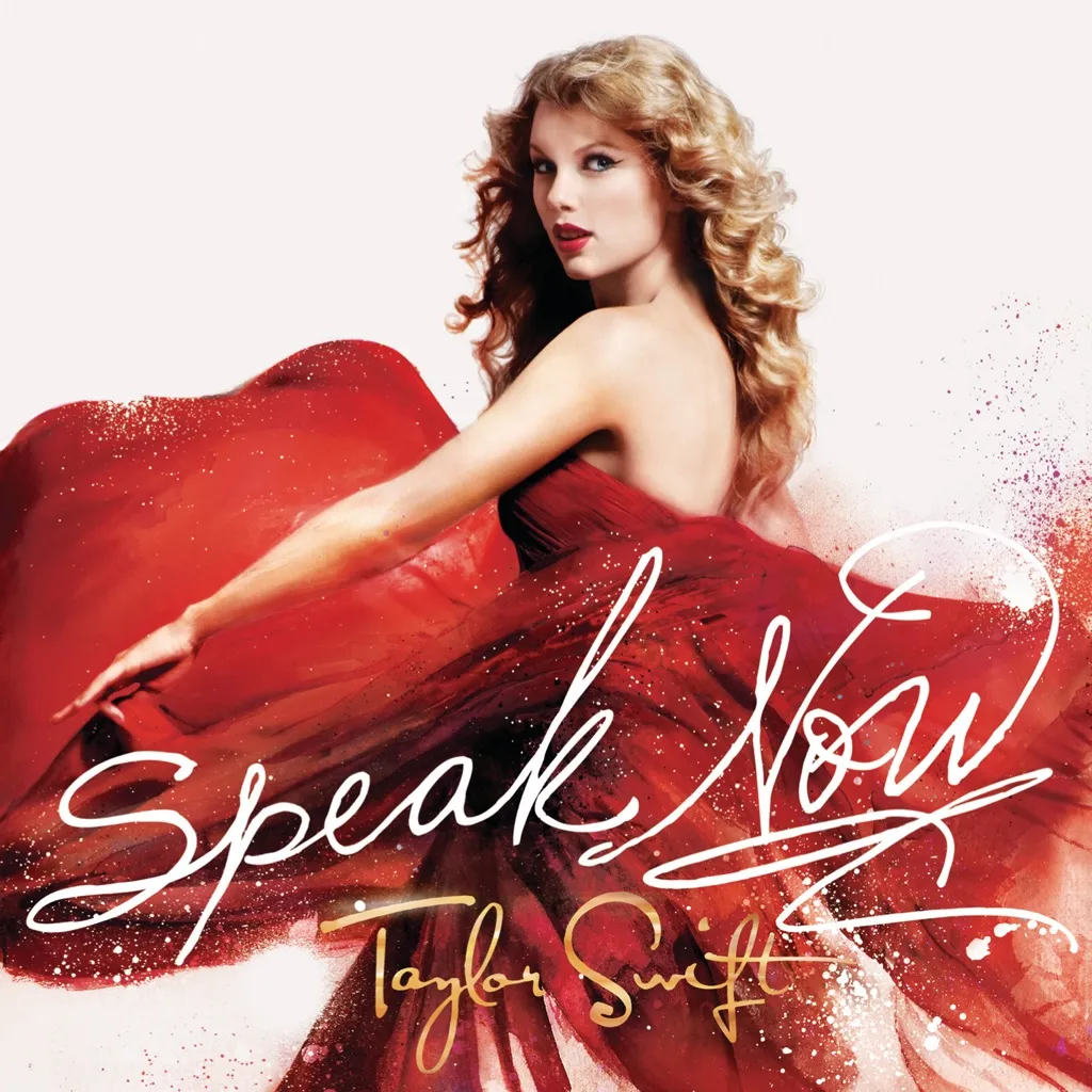 Speak Now by Taylor Swift cover