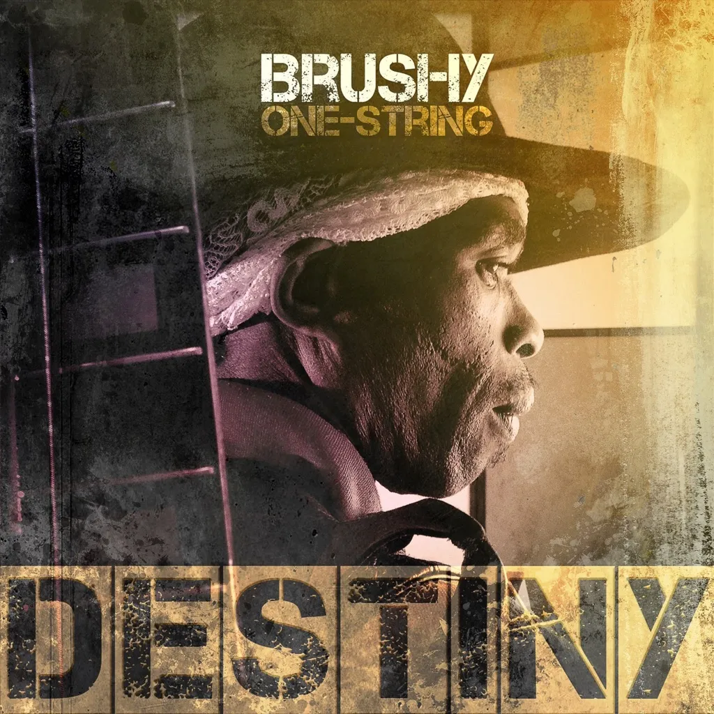 Destiny by Brushy One String cover