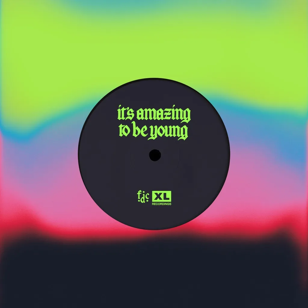 It's Amazing To Be Young by Fontaines D.C. cover