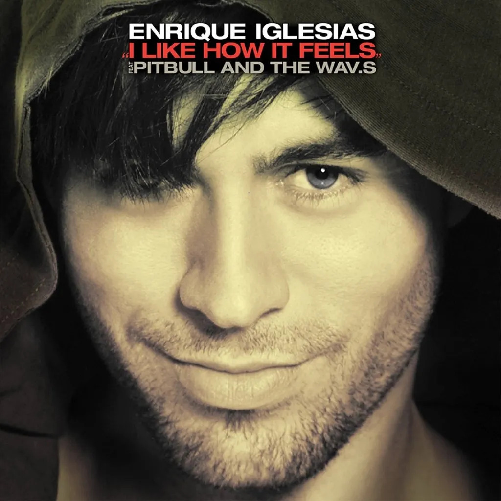 I Like How It Feels by Enrique Iglesias feat. Pitbull cover