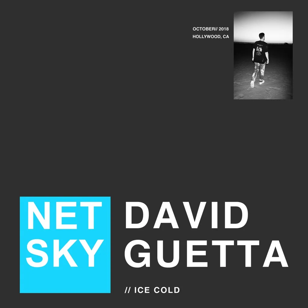 Ice Cold by Netsky And David Guetta cover