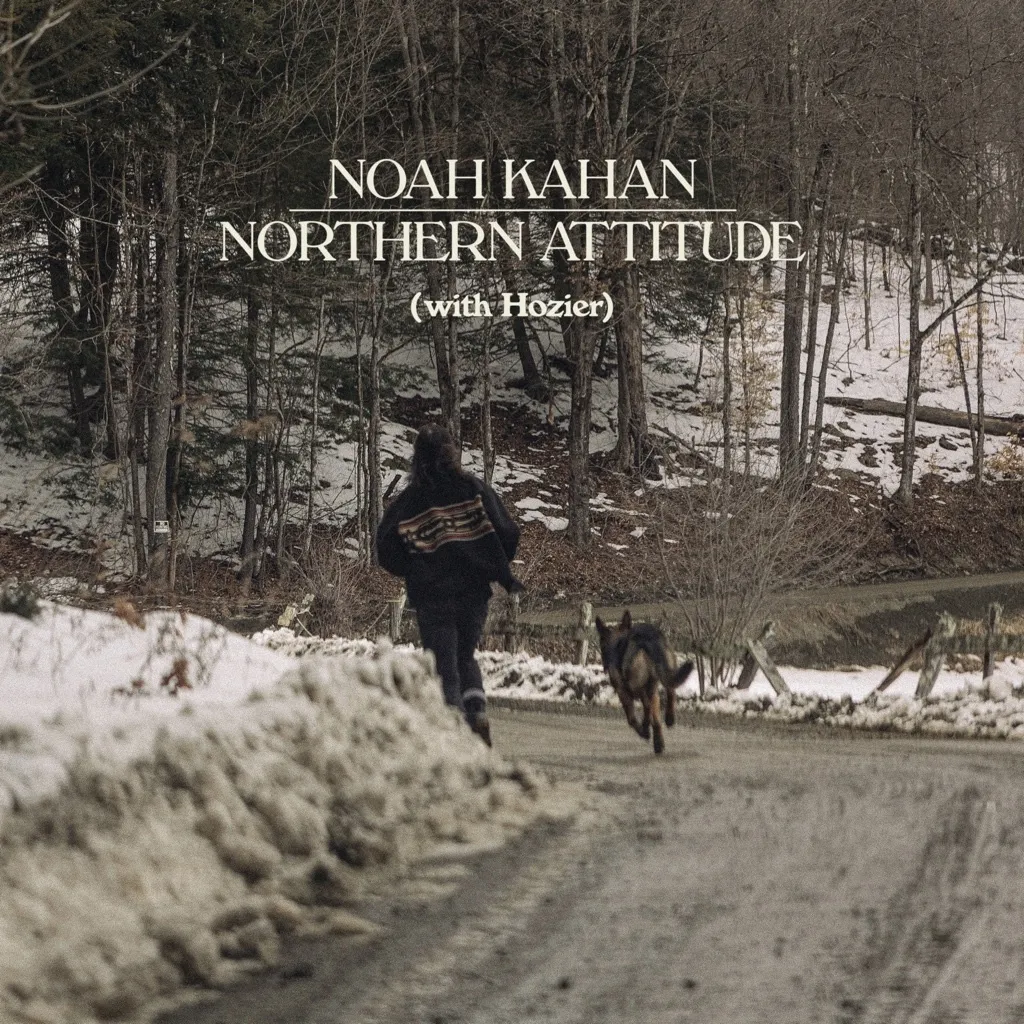 Northern Attitude by Noah Kahan And Hozier cover