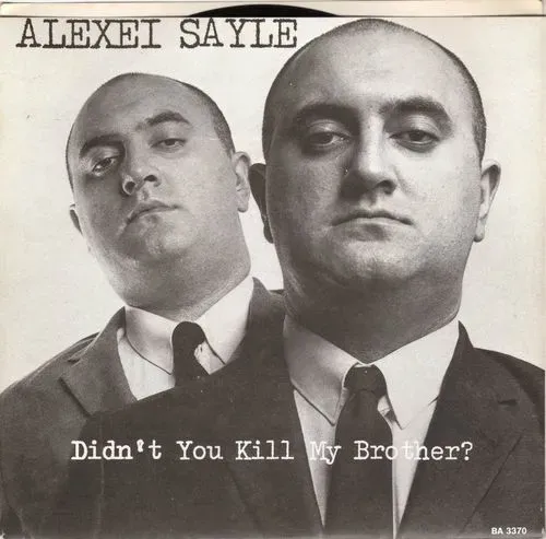 Didn't You Kill My Brother by Alexei Sayle cover