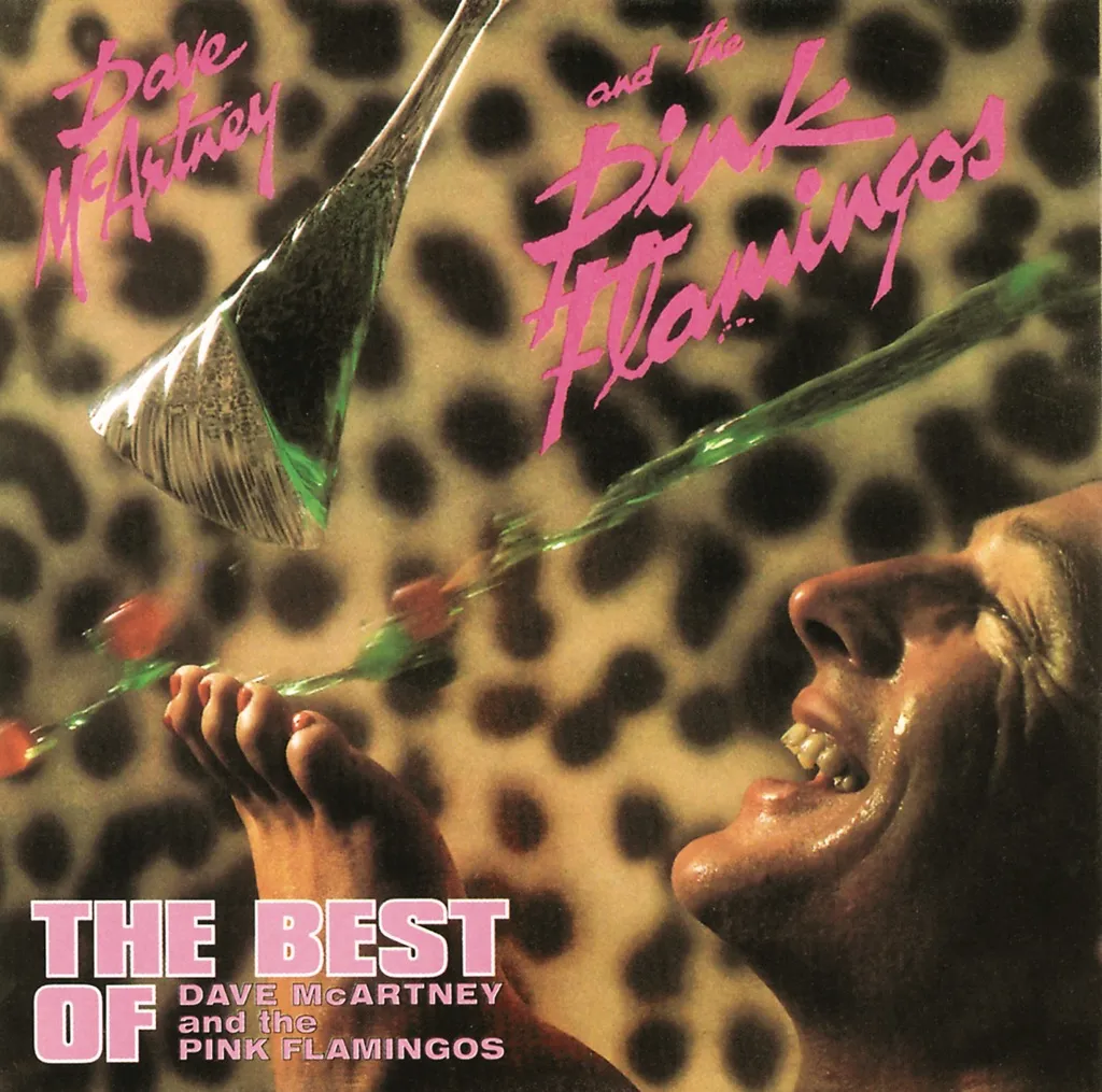 The Best Of by Dave McArtney & The Pink Flamingos cover