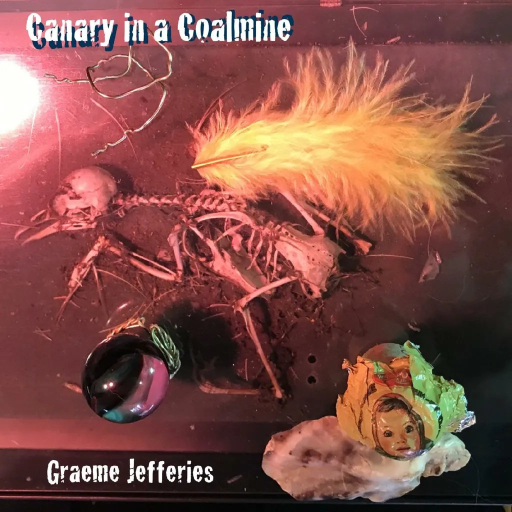 Canary In A Coalmine by Graeme Jefferies cover